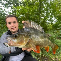 Savage Gear Fat Tail Spin 5.5cm/9g